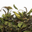 Tea Studio : Nilgiri Bai Mu Dan